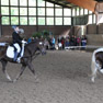 Reitturnier 2011 in Münster-Hiltrup 23